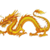 黄龍とは中国の五行において四神の長で中央を意味する黄色の龍