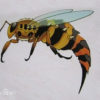 中国神話に出てくる巨大な昆虫の怪物達：欽原、玄蜂、南海蝴蝶、朱蛾、文文