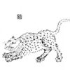 中国神話の奇妙な豹の怪物を集めてみた。怪豹特集1（狕、狰、孟極、諸犍）