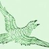 比翼鳥：中国神話中の翼が一本と目が一つしかない鳥だが二羽集まると飛べるようになる神秘的な鳥