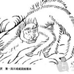 中国神話の奇妙な猿の怪物を集めてみた。怪猿特集1（朱厭、足訾、挙父、猾褢、幽鴳、雍和）