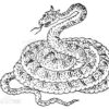 中国神話の奇妙な蛇を集めてみた。蛇の怪物特集その２（長蛇、琴虫、鈎蛇、鳴蛇）
