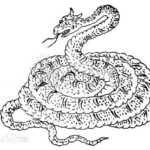 中国神話の奇妙な蛇を集めてみた。蛇の怪物特集その２（長蛇、琴虫、鈎蛇、鳴蛇）