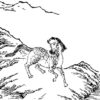 中国神話の奇妙な馬の怪物を集めてみた。怪馬特集1（鹿蜀、矔疏、旄馬、駁、蛩蛩）